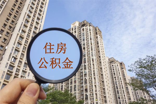 长春辞职不干了公积金怎么处理（我辞职了公积金不取以后还可以取吗）